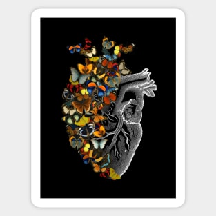 Butterfly Vintage Heart Spring by Tobe Fonseca Sticker